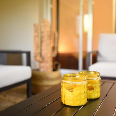 T2 Calme Absolu - Coeur - Saint Cyprien - Climatisation - Terrasse Arboree Apartment Toulouse