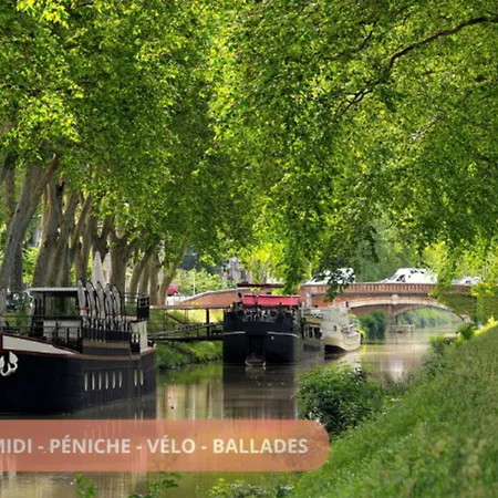 T2 Calme Absolu - Coeur - Saint Cyprien - Climatisation - Terrasse Arboree Apartment Toulouse