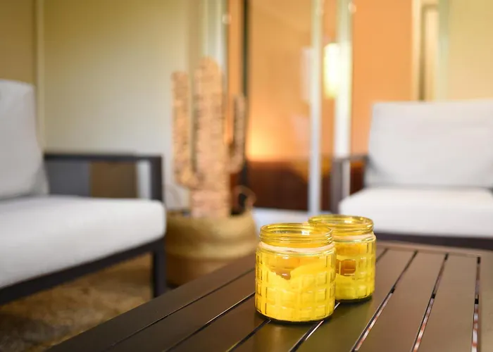 T2 Calme Absolu - Coeur - Saint Cyprien - Climatisation - Terrasse Arborée Appartement Toulouse