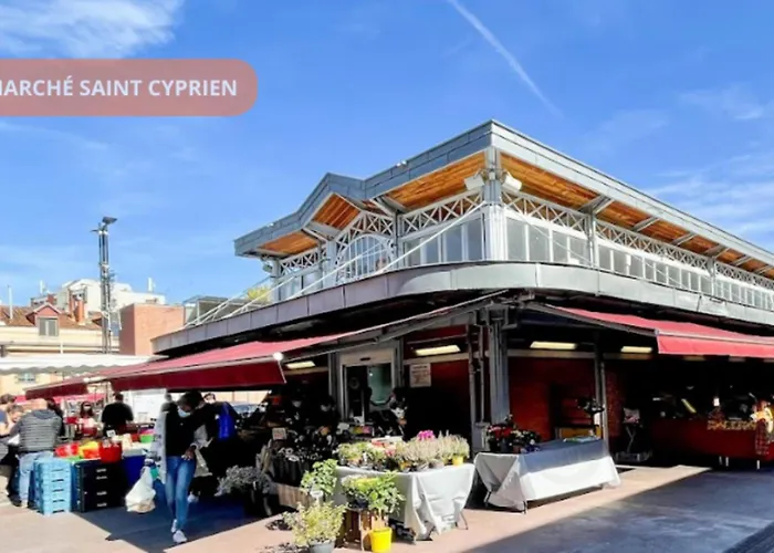 T2 Calme Absolu - Coeur - Saint Cyprien - Climatisation - Terrasse Arboree